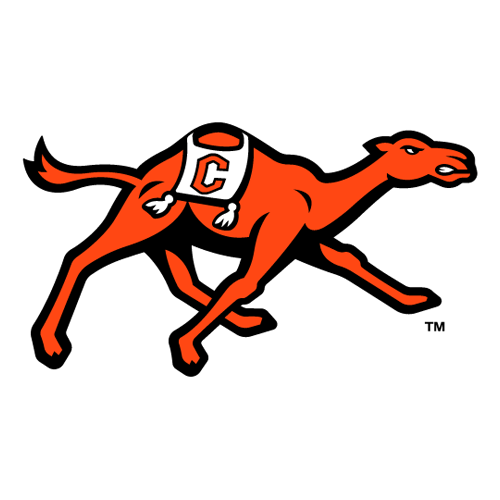 Campbell Fighting Camels